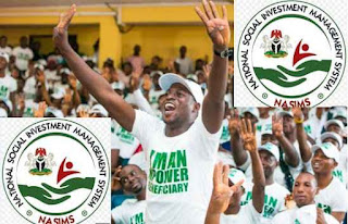 NPower Batch D Portal is Now Open – Check Steps on How to Register via nasims.gov.ng/application