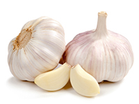 garlic