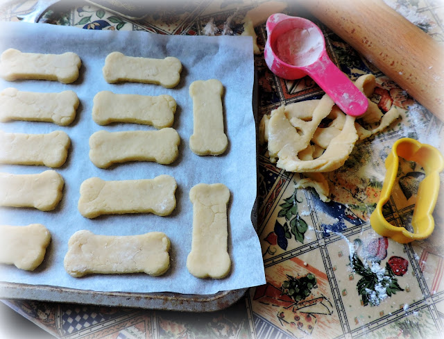 Cheesy Dog Treats