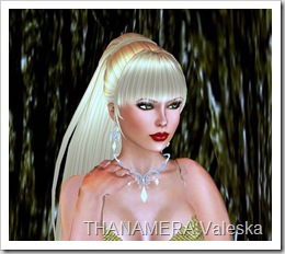 ScreenShot050