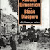 Another Dimension to the Black Diaspora -  Diet, Disease, and Racism