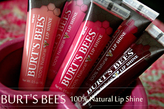 Burt's Bees 100% Natural Lip Shine Review, Photos & Swatches