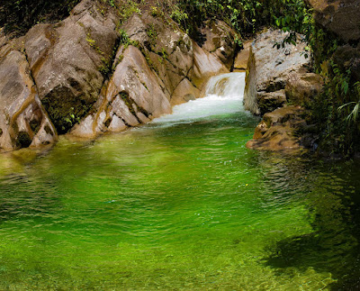 Laguna de agua cristalina de tonos verdes y azules en las Lagunas Yany, en Tena, brindando un ambiente sereno y relajante en medio de la naturaleza.