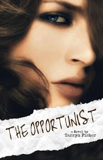 The Opportunist by Tarryn Fisher