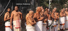 Sri Narasimha Swamy, Dhavana Utsavam, Theliya Singar, Azhaiya Singar,Thirumanjanam, Purappadu,  Triplicane,  Purappadu, Thiruvallikeni, Utsavam, 