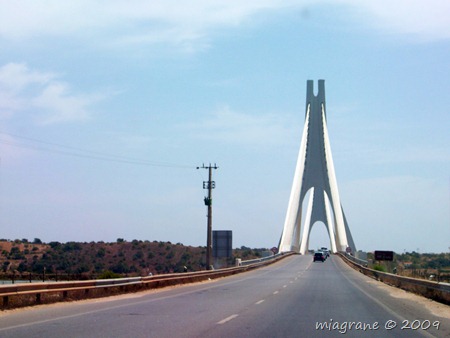 arade - puente - 2