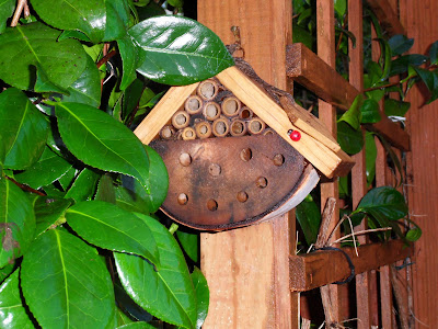 Garden Bug Box