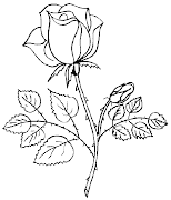 Desenhos de Rosas para colorir (pintar rosa desenho )