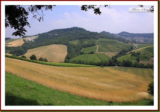 VIGNETI_03