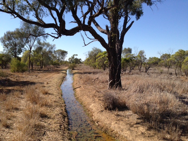 thermal ecology research Queensland outback