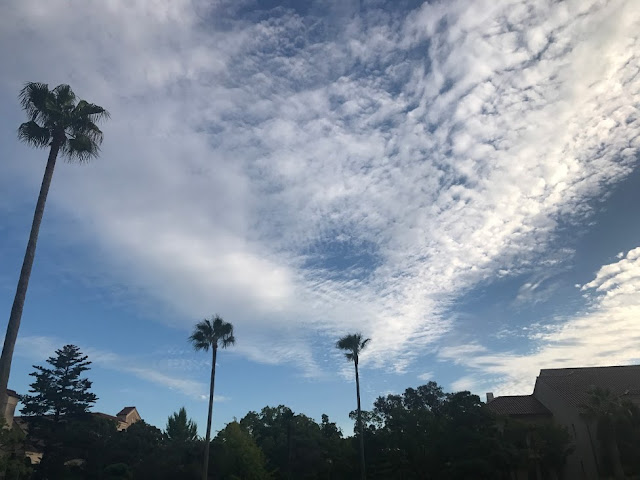 イメージ画像：関学の空