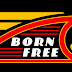 Born-Free 5 Invited Builder Bikes