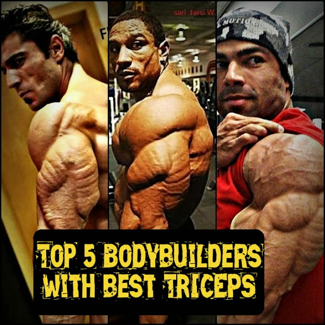 Top 5 Bodybuilders with best tricep muscles , mahmut irmak , roelly winklaar , eduardo correa, kevin levrone