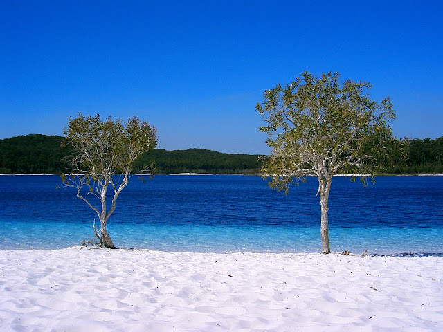 fraser-island-australia