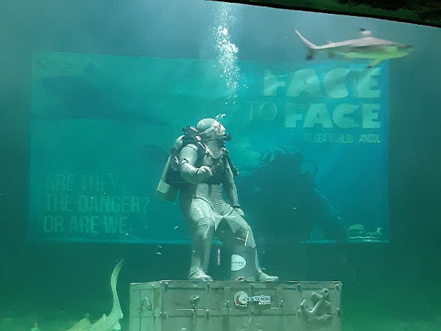 Live Feeding Shark: Face to Face di Seaworld Ancol