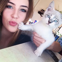 Cuando los gatos simplemente no quieren estar en tus estúpidas selfies