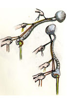 Grundy Erector Spinae Schematic