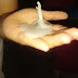 Durante oração, imagem de Nossa Senhora se forma em cera de vela no Piauí 