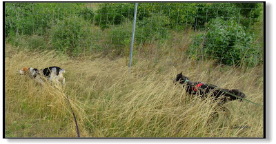 Emma und Lotte