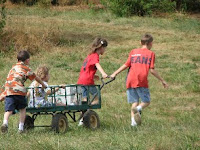 Zoomlians running with a wheelbarrow