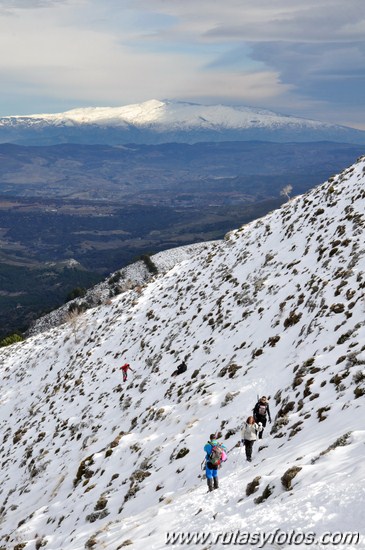 Subida a la Maroma desde el Robledal