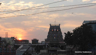 Parthasarathy Perumal, Maasi Ekadsesi, Ekadesi Purappadu,  Trplicane,  Purappadu, Thiruvallikeni, Utsavam, 