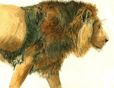 Panthera Leo Persica