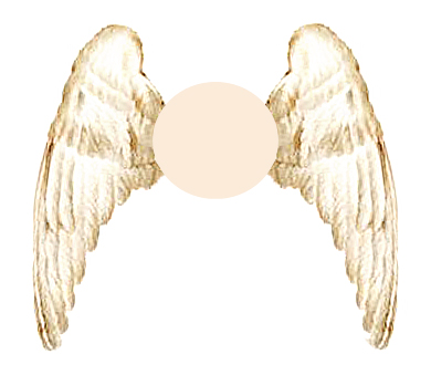 Beautiful angel wings