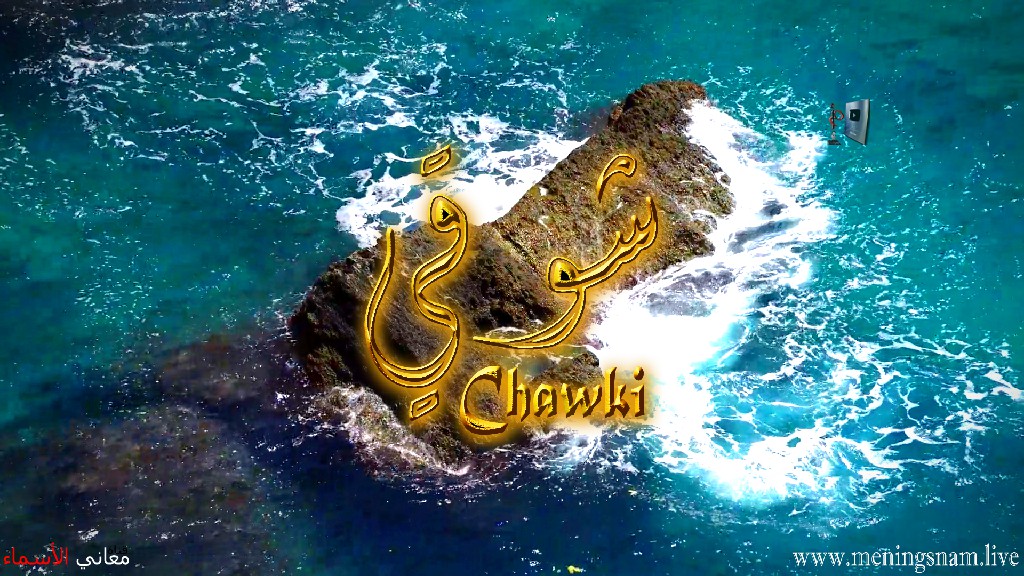 معنى اسم, شوقي, وصفات, حامل, هذا الاسم, Chawki,