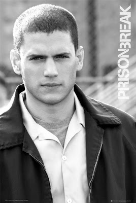 wentworth miller prison break