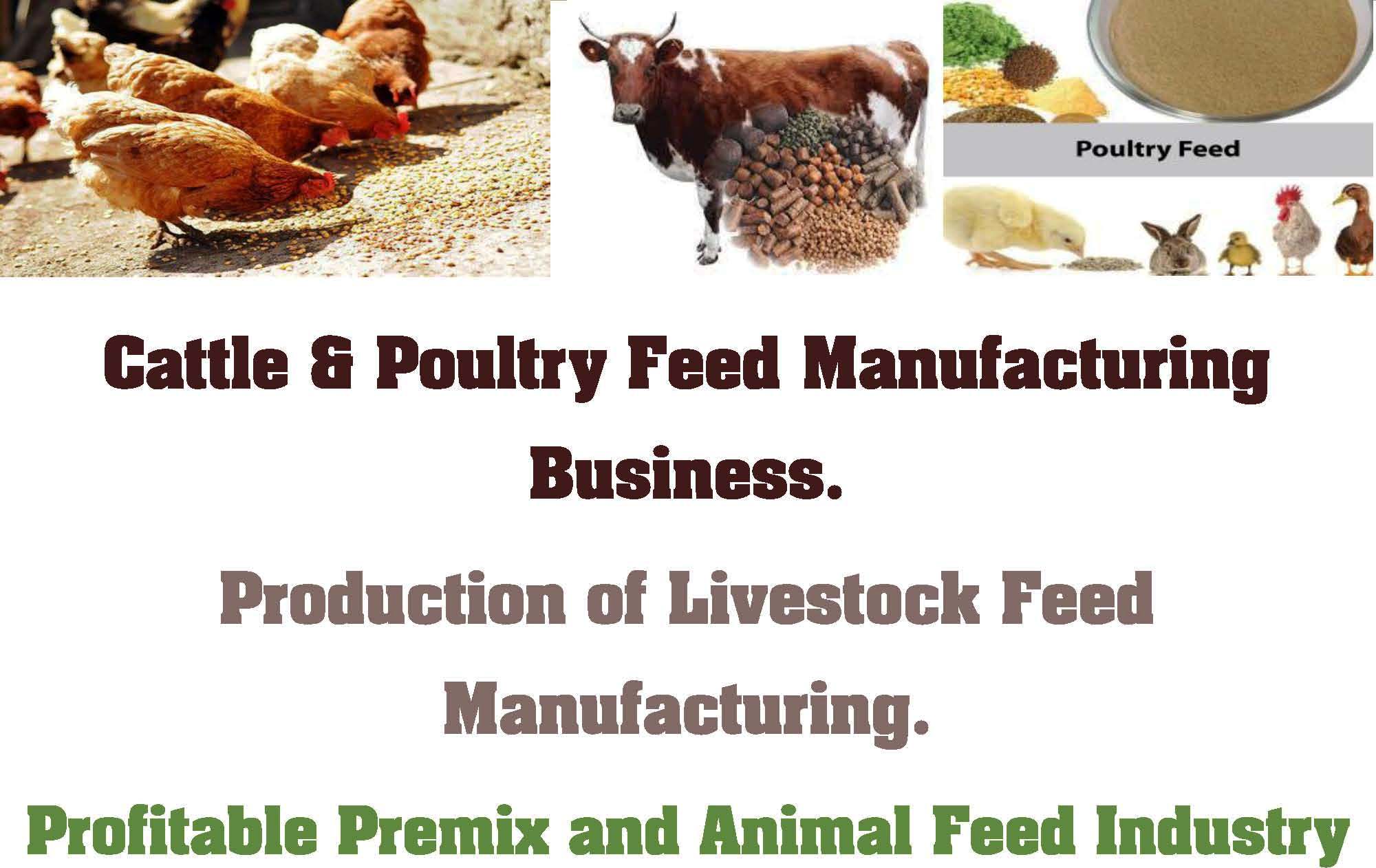 animal feeds business plan kenya