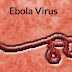 Symptoms of Ebola Virus