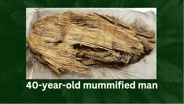 The oldest mummy in the world is finally buried.