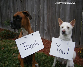 thank you two dogs