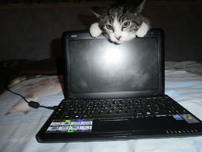 Au Chat Et A La Souris