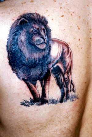 lion tatto