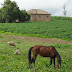 DIOSELINA Y SERAFÍN