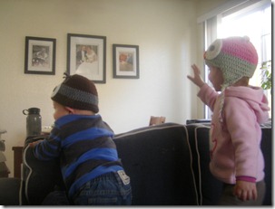 owl hats