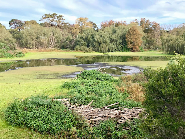 Coolart Homestead, Somers wetlands