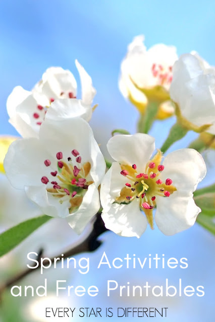 Spring Activities and Free Printables