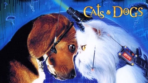 Come cani e gatti 2001 film per tutti