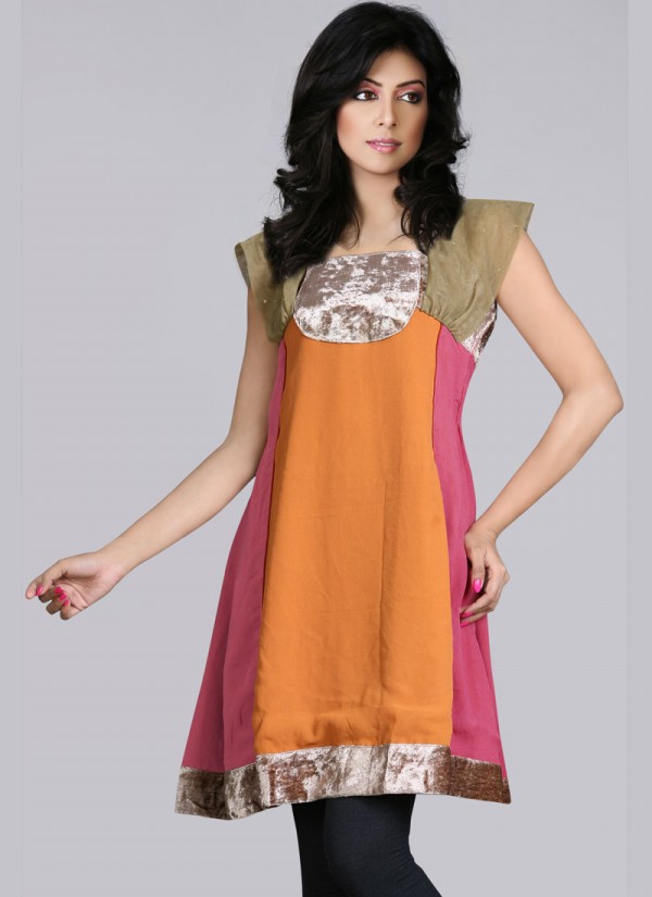 ... Tunic-Kurti-Designs-2013-Indian-Tunic-Kurti%27s-Fashionable-Dress-.jpg