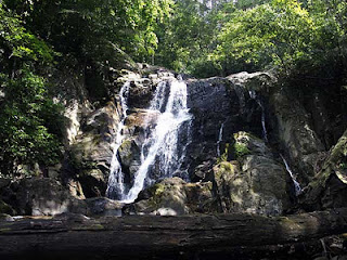 agasthyamala waterfall