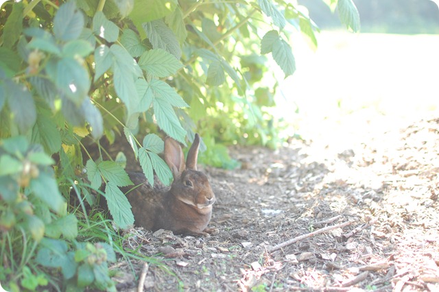 DSC_0754 DSC_0754