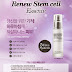 SECRETKEY  Renew Stem Cell Essence