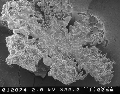 snow-microscope (14)