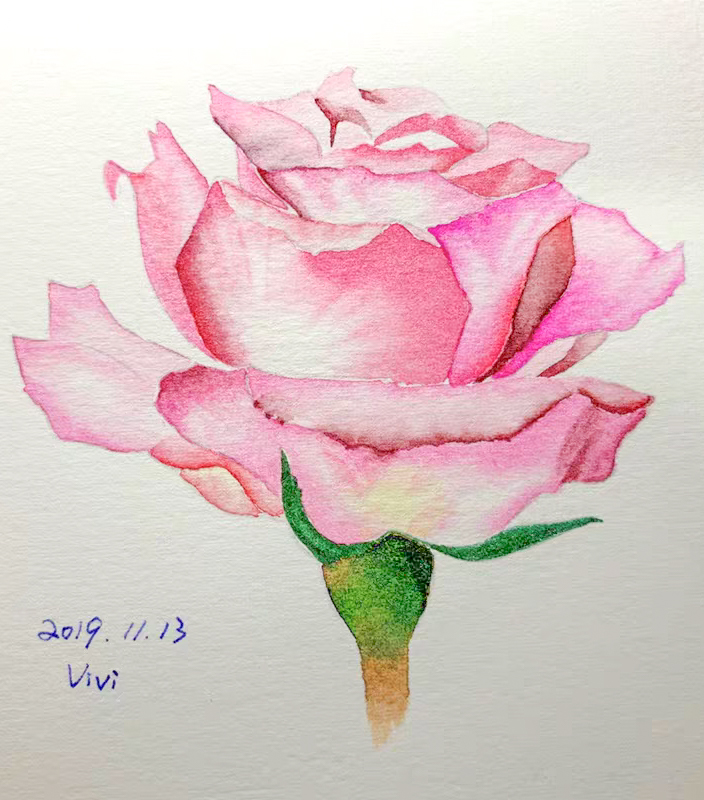 What is watercolor history? How to choose Watercolor paper？How to draw a watercolor rose? come to see my online class