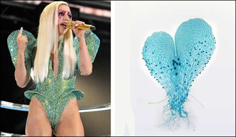 Lady Gaga e samambaia