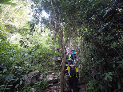 Gunung Pulai