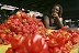 Tomatoes May Slow Down Stomach Cancer - New Study